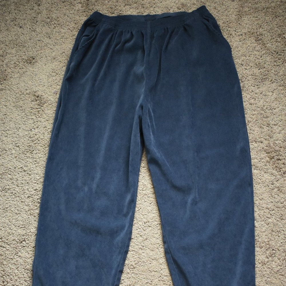 Dressbarn Women Blue pants.